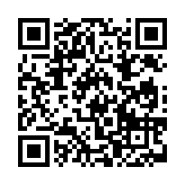 國安街大地坪整新美車墅-QR CODE