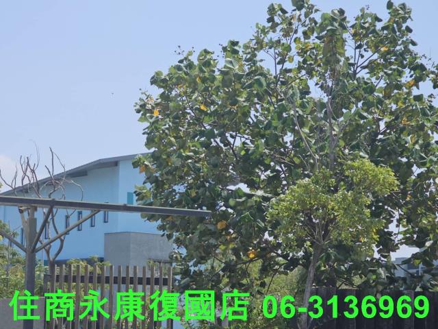 台南大樓-8