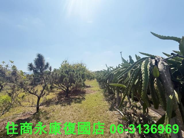 台南玉井透天-10