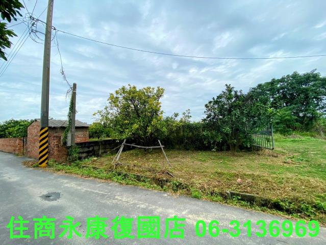 台南麻豆農地-0