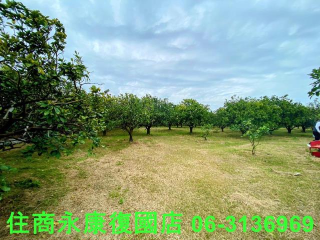 台南麻豆農地-3