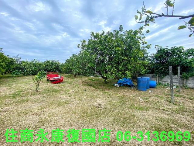 台南麻豆農地-4