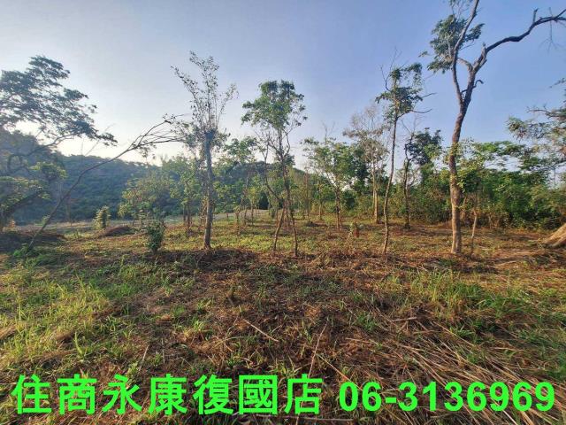 台南南化農地-11