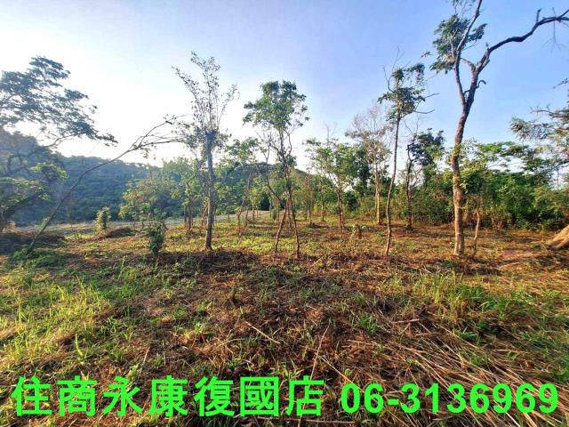 台南南化農地-11