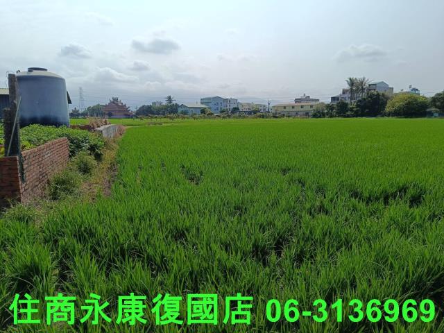 白河農地-9