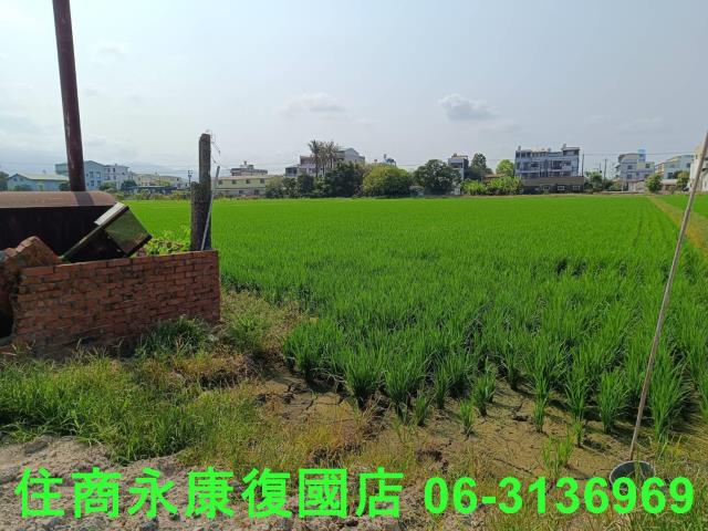 白河農地-7