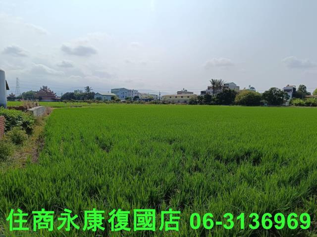 白河農地-8