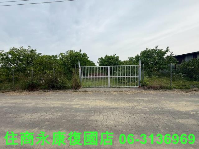 麻豆農地-0