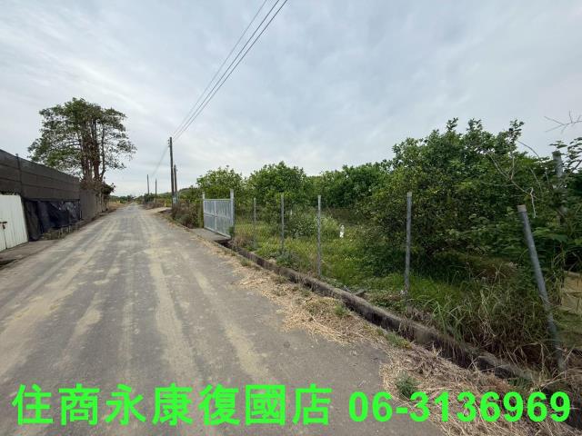 麻豆農地-1