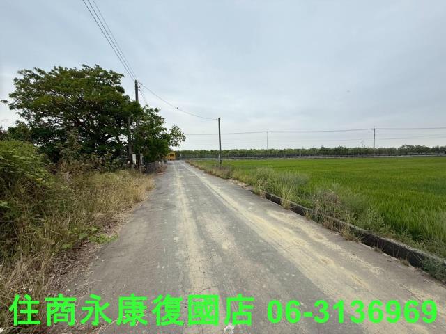 麻豆農地-2