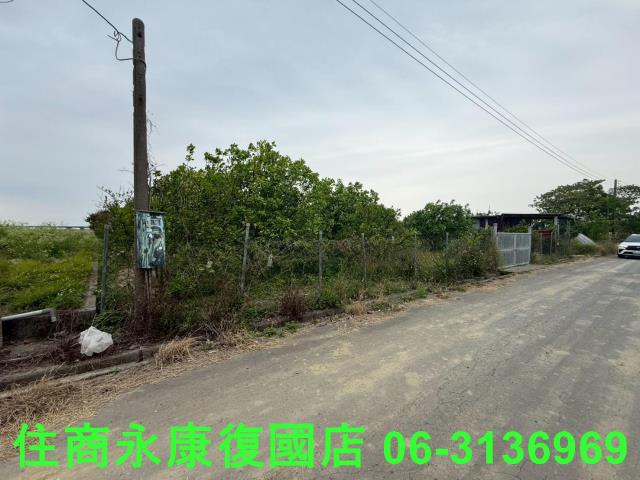 麻豆農地-4