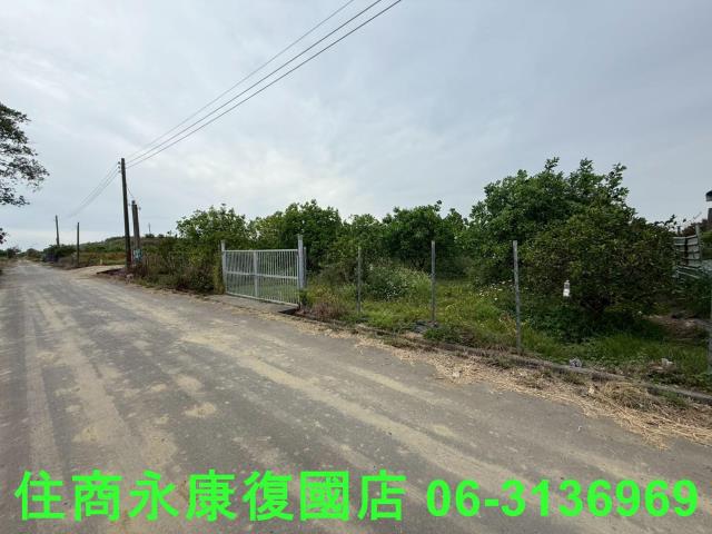 麻豆農地-5