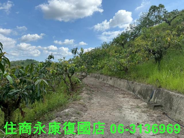 台南玉井農地-9