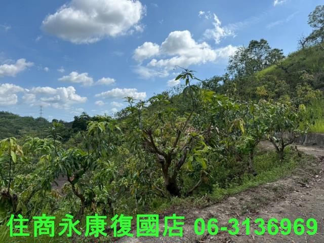 台南玉井農地-11