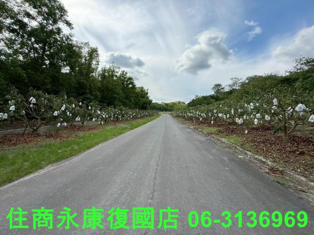 台南玉井農地-0