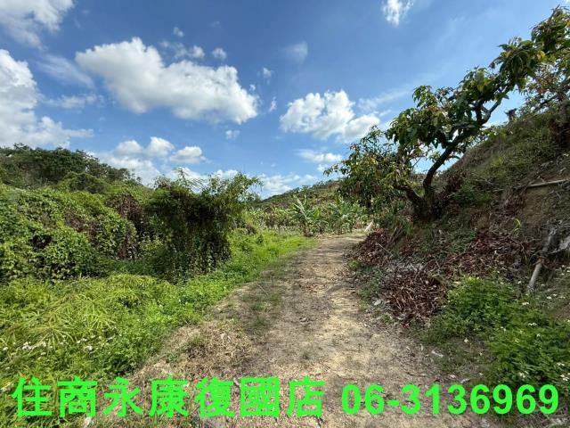 台南玉井農地-1