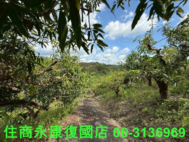 台南玉井農地-2