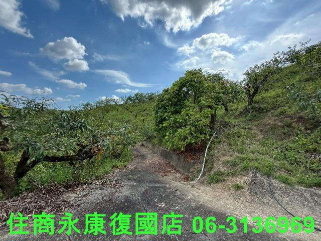 台南玉井農地-4
