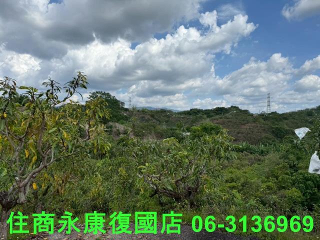 台南玉井農地-5