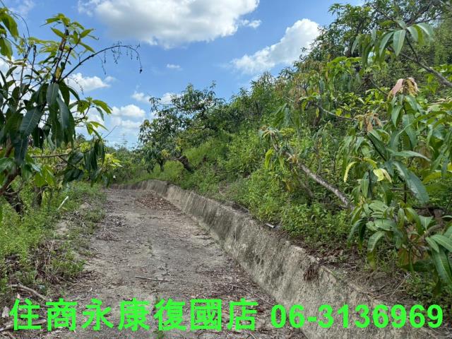 台南玉井農地-8