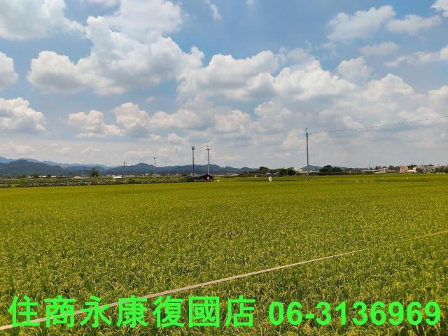 台南東山農地-1