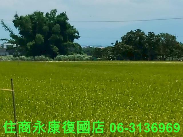 台南東山農地-2