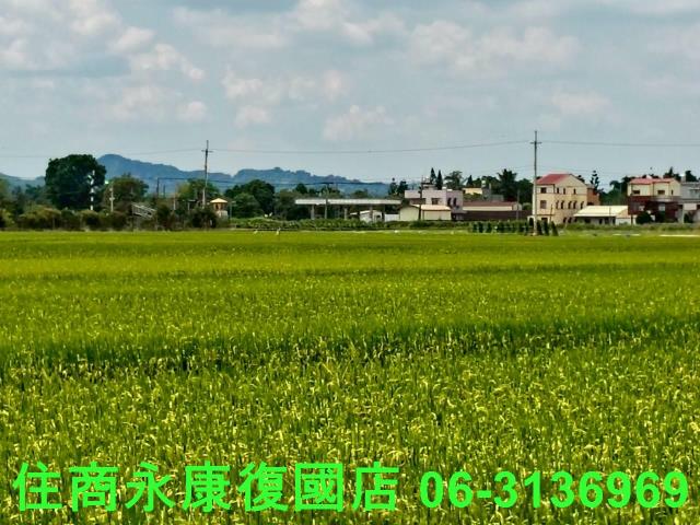 台南東山農地-6