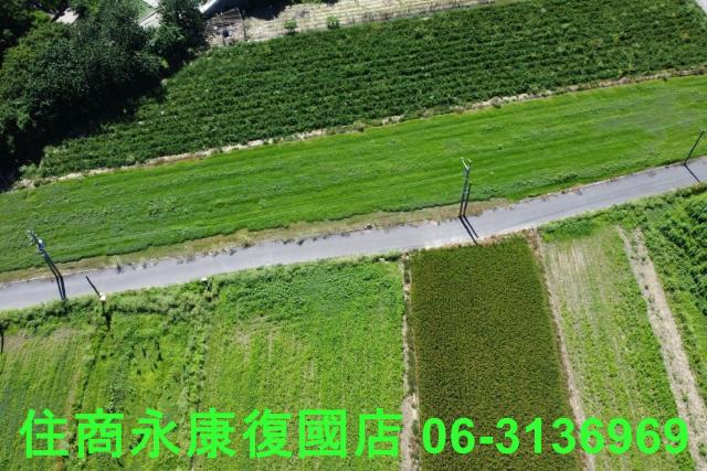 仁德農地-9