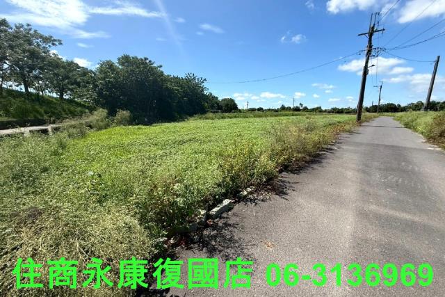 仁德農地-10
