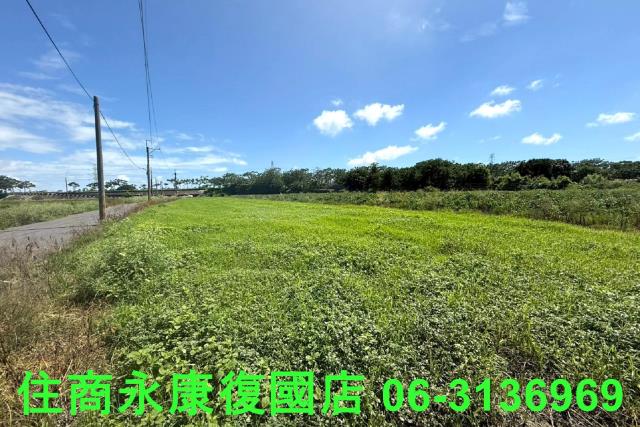 仁德農地-0