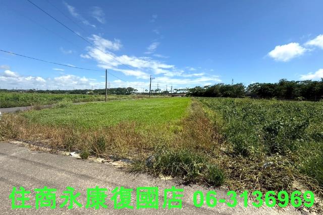 仁德農地-1