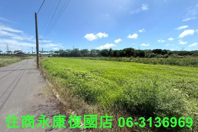 仁德農地-2