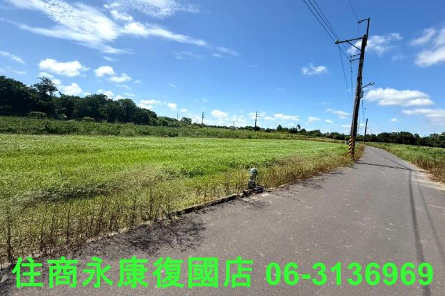仁德農地-3