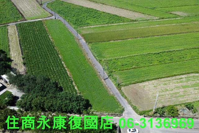仁德農地-5