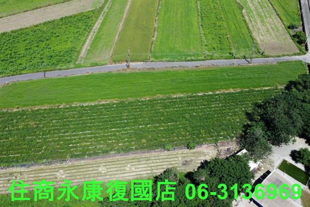 仁德農地-7
