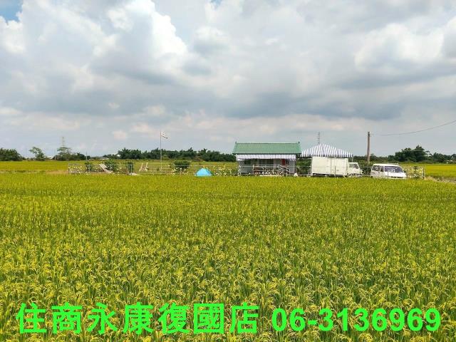 台南農地-0