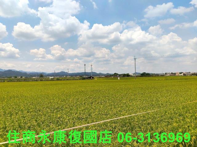 台南農地-1