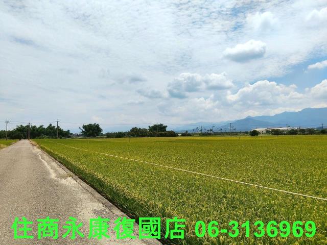 台南農地-2