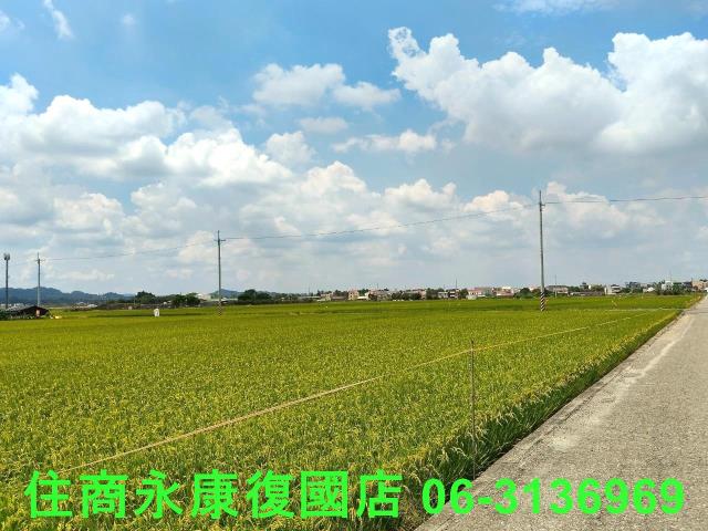 台南農地-3