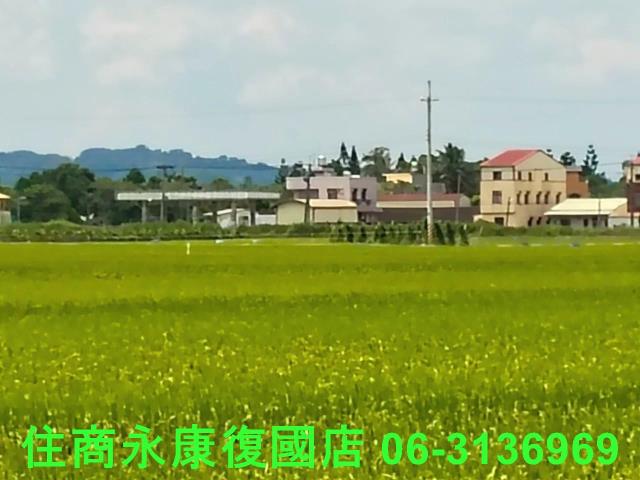 台南農地-5
