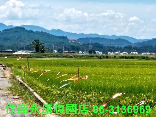 台南農地-7