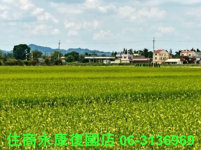 台南農地-8