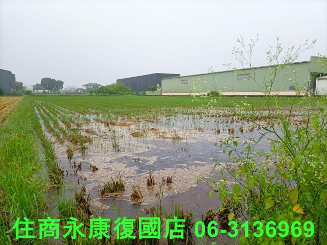 台南農地-9