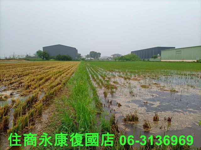 台南農地-10