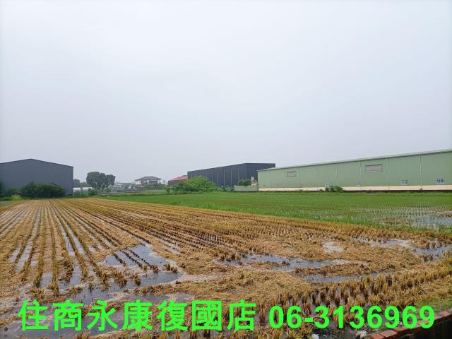 台南農地-11