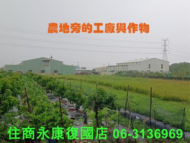 台南農地-2