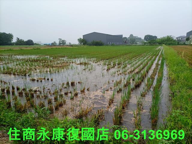 台南農地-8