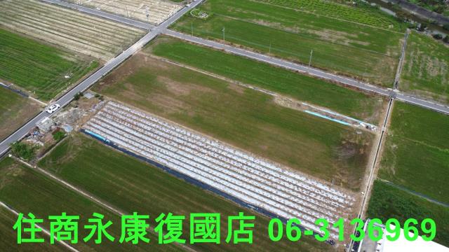 台南新營農地-9