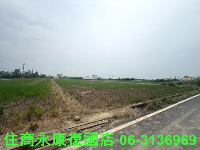 台南新營農地-3