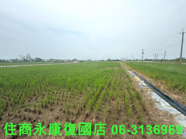 台南新營農地-0